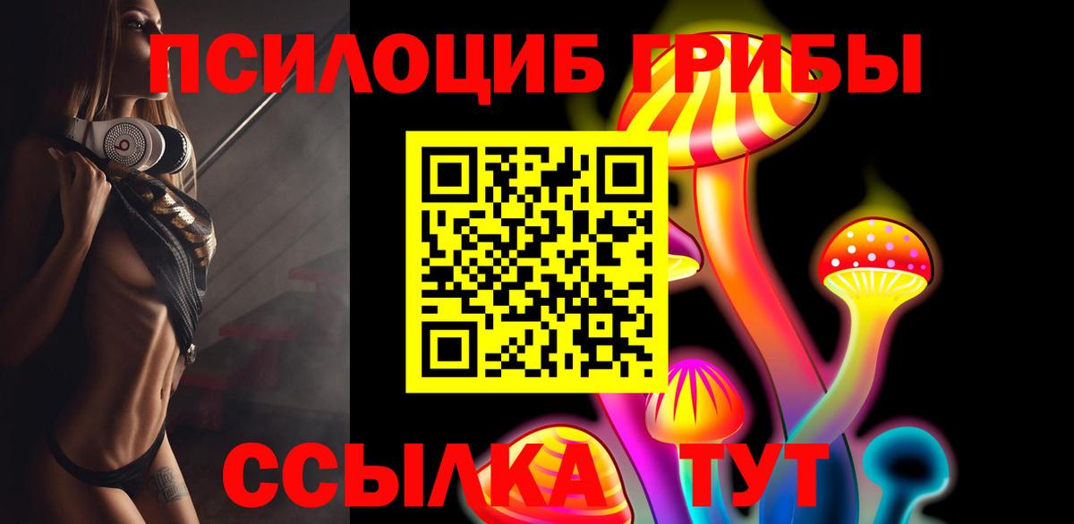 Галлюциногенные грибы мицелий  Вход с VPN  что такое   Уварово 